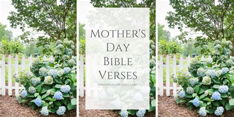 Bible Verses About Mothers Domestically Blissful