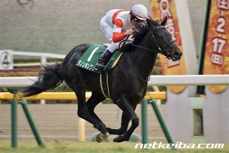2:51 競馬じじい 25 837 просмотров. ダノンキングリー | 競走馬データ - netkeiba.com