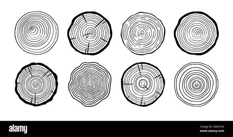 Tree Ring Wood Circle Set Hand Drawn Tree Ring Pattern Line Ripple