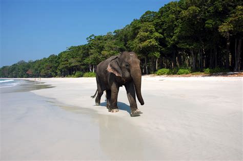 25 Breathtaking Beaches You Must Visit Before You Die Andaman And