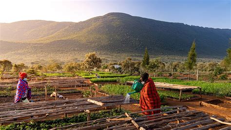 Planting Trees In Kenya Kenya Reforestation Eden Reforestation