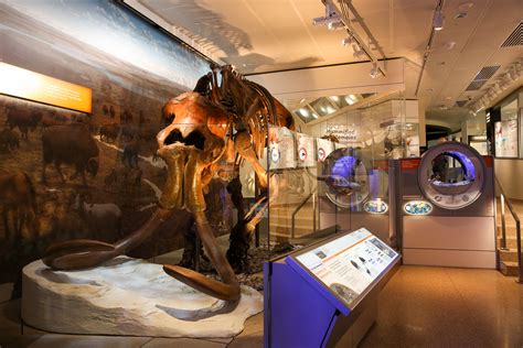 Dinosaurs Come To Life In The Museum Of Natural Historys New Hall Of