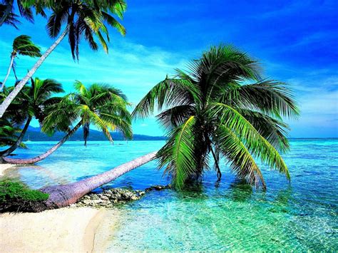 Tropical Beach Wallpapers Top Free Tropical Beach Backgrounds
