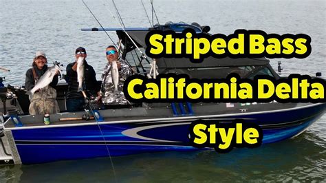 Striped Bass California Delta Style YouTube