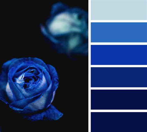 Midnight Blue And Royal Blue Color Schemecolor Palette