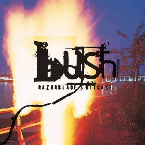 Bush Razorblade Suitcase Remastered In High Resolution Audio
