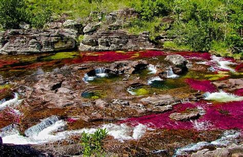 Caño Cristales O Rio Colorido Da Colômbia Lugares Fantásticos
