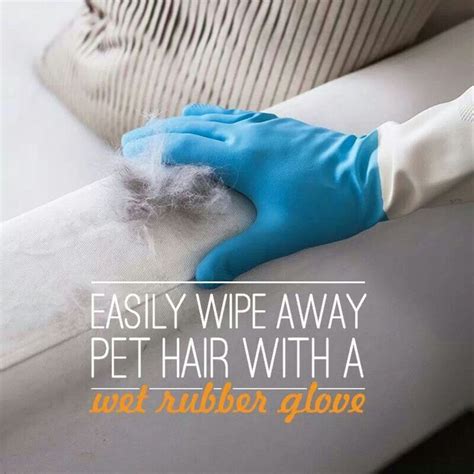 I have used rollers, tape, wet paper towels and nothing gets it up like this chea. 16 best Pet Hair Removing from floors and furniture ideas ...