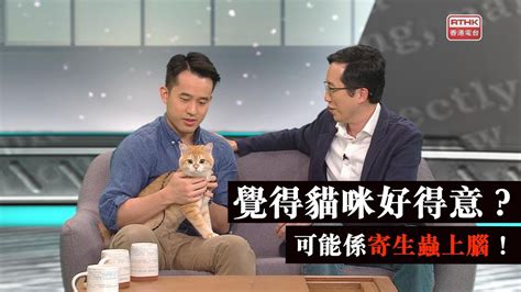 Manage your video collection and share your thoughts. 五夜講場 - 真係好科學 2020：有咩咁得意 - YouTube