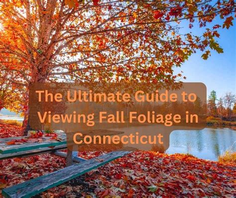 The Ultimate Guide To Viewing Fall Foliage In Connecticut