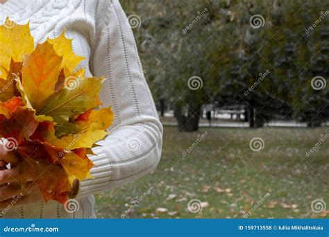 Lonely Woman Holding Autumn Leaves And The Sad Gloomy Park Behind