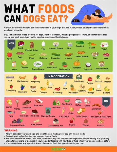 What Foods Can Dogs Eat 43 Safe People Food Petmoo