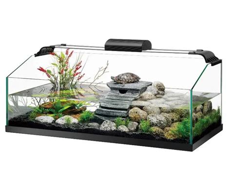 Best Turtle Tanks Aquarium Dimensions
