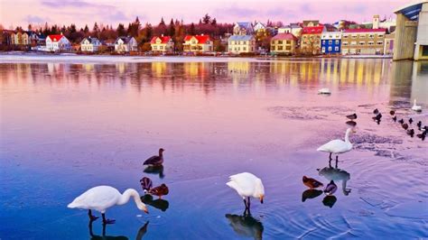 View Of The Tjornin Lake In Reykjavik At Dawn In Winter Iceland