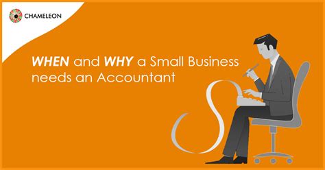 When And Why A Small Business Needs An Accountant Chameleon