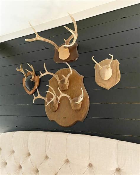 Black Shiplap With Forest Inspired Wall Décor Soul And Lane