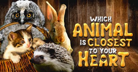 Which Animal Is Closest To Your Heart? | PrettyFun