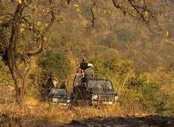 Bandhavgarh Tour Packages Itinerary Services Vacation Packages