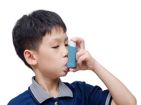 When detected in its earliest stages, lung cancer can often be successfully treated and sometimes even cured. Mice may be key to kids' asthma attacks at school