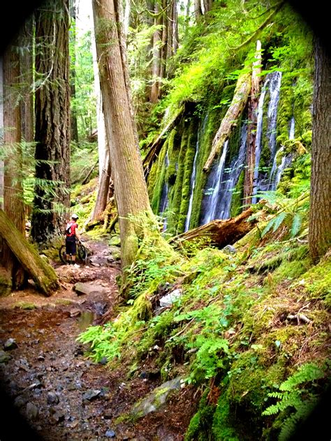 Umpqua National Forest Complete With Pristine Trails Hot Springs