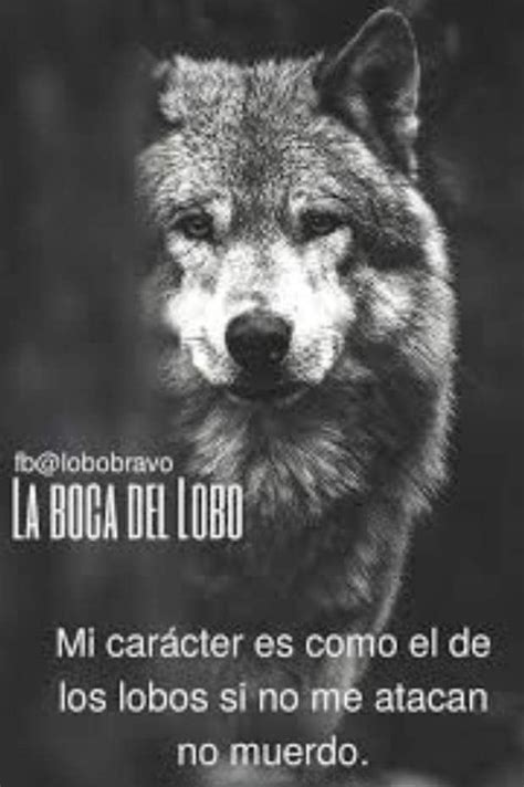Así Yo 😉 Tumblr Quotes Love Quotes Wolf Life K9 Dogs Malinois Dog