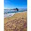 Purple Sand At Pfeiffer Beach OC 3024x4032  EarthPorn