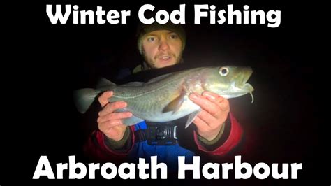 Winter Cod Fishing At Arbroath Harbour Youtube