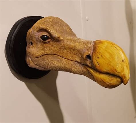 Replica Dodo Head Skull Taxidermy Etsy