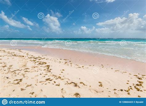 Crane Beach In Barbados Caribbean Stock Image Image Of Beach Cruise