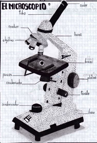 Ahora se denomina portada a la cubierta de. microscopio y sus partes para dibujar , ayuda porfa ...