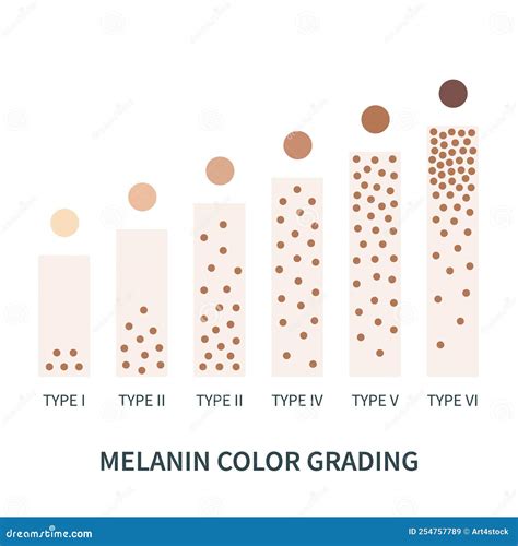 Melanin Skin Tone Color Palette Scheme Design Stock Vector