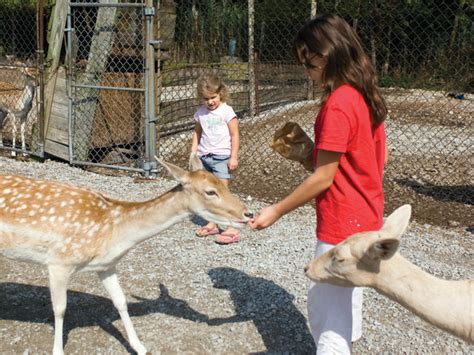 Are americans glued to their car seats? Lagoon Deer Park │ Shores & Islands | Sandusky ohio ...