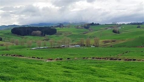 Mbie Investigating Waikato Dairy Company Maharaj Farms After Migrant