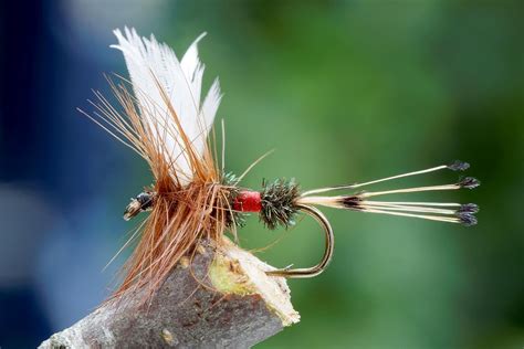 Best Trout Flies Recommended By Guides