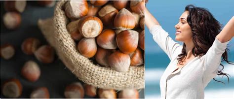 Hazelnuts in hindi हजलनट क फयद Benefits of Hazelnuts in Hindi