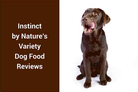 Discount will be automatically applied at checkout. Instinct by Nature's Variety Dog Food Reviews - Recalls ...