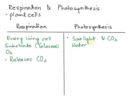 Solved Compare Photosynthesis And Respiration Using Venn Diagram