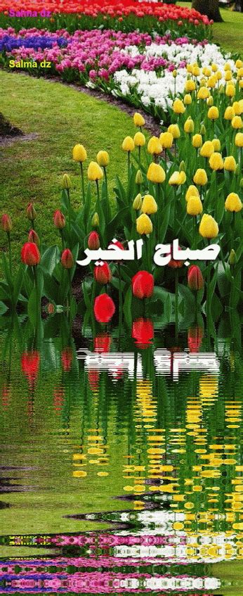 Islamic Wallpaper Hd Wallpaper Beautiful Words Live  Jumma
