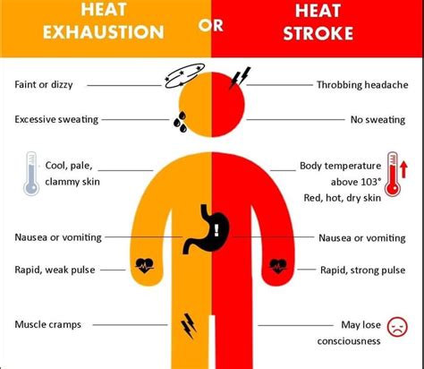 Heat Exhaustion Vs Heat Stroke Know The Signs Heat Exhaustion Heat Riset