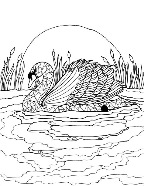 Swan Coloring Page For Adult Coloringbay The Best Porn Website