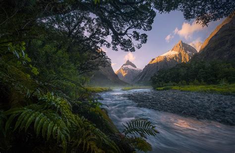 Forest River New Zealand Marc Adamus Photography