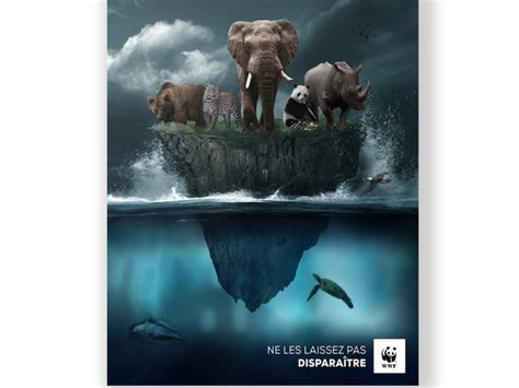 Wwf Poster By Royer On Dribbble