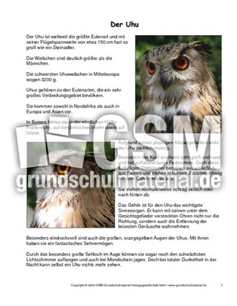Steckbrief englisch muster die besten 17 ideen zu steckbrief auf. Uhu-Steckbrief - Tiersteckbriefe - Lesen - Steckbriefe-Tiere - Sachthemen - HuS Klasse 3 ...