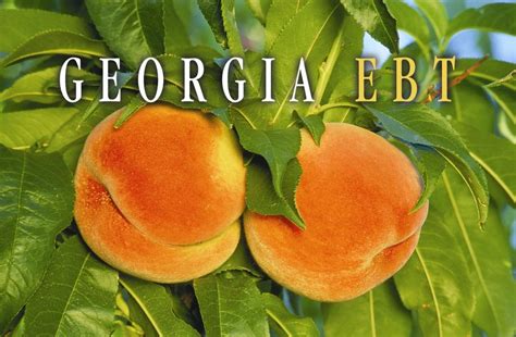 Ebt, which stands for electronic benefits transfer, is a process that allows you to use your families first card to get benefits that are deposited into an account. Georgia food stamps card replacement - Georgia Food Stamps ...