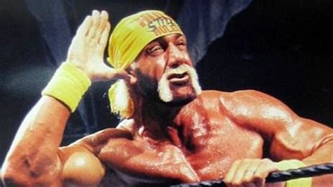 Updated Hulk Hogan Wins 115m Sex Tape Case Against Gawker