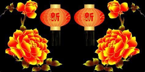 宅男腐女的爱好导航。 地址发布页： lanse.icu 最新地址： ldh. 新年祝福喜庆灯笼gif动态图片，Gif图片，素材库——资料库
