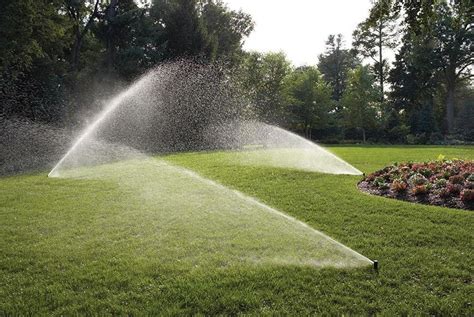 Use to adjust a variety of lawn sprinklers from rainbird and other brands. Rain Bird 32SA Simple Adjust Rotor Sprinkler 77985042301 ...