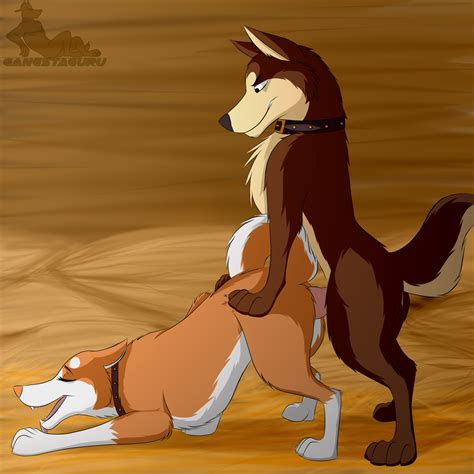 Rule 34 2015 Akita All Fours Canine Canine Couple Doggy Style Feral