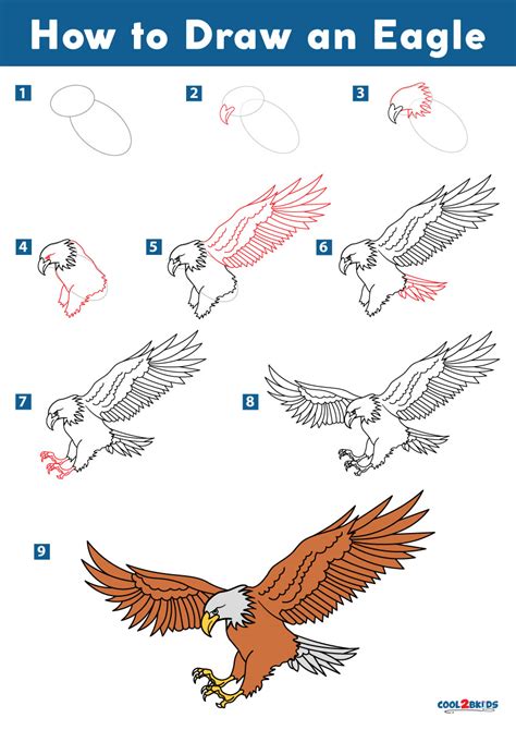 How To Draw A Eagle Step By Step Easy