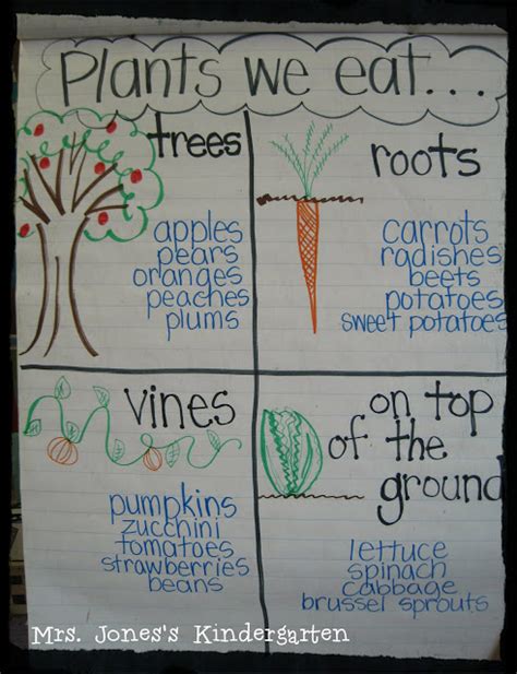Plants Anchor Chart Kindergarten Chaos
